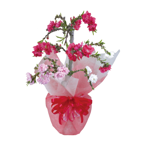 【ひなまつり】