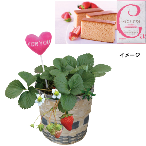 【ホワイトデー】