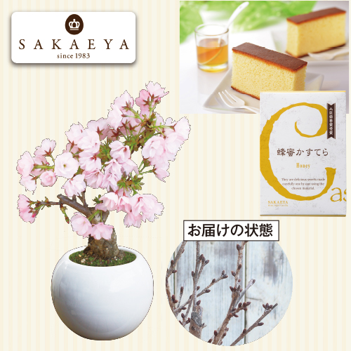 【ひなまつり】