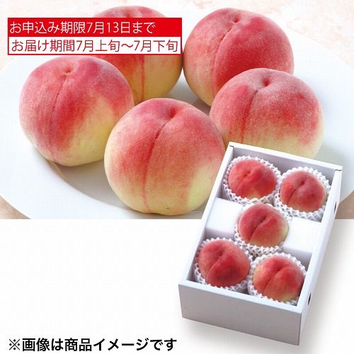 サン・フルーツ