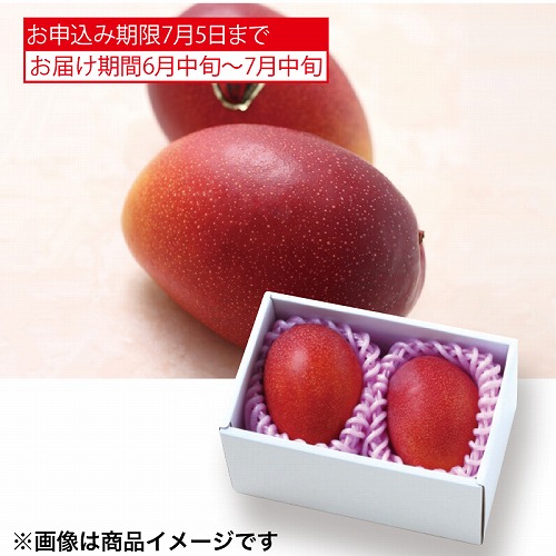 サン・フルーツ