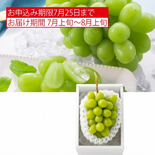 シャインマスカット