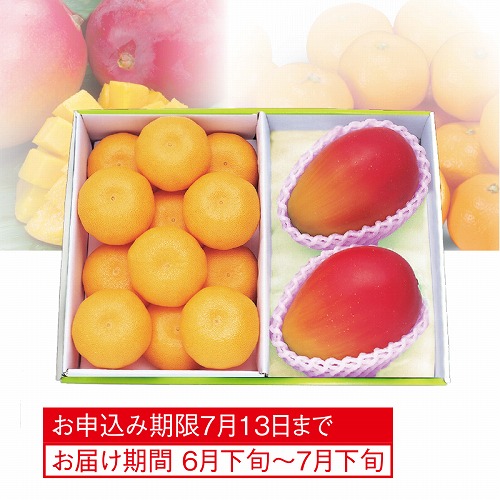 マンゴー＆ハウスみかん