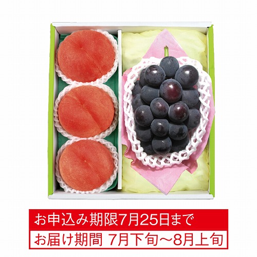 ピオーネ＆御坂の水蜜桃