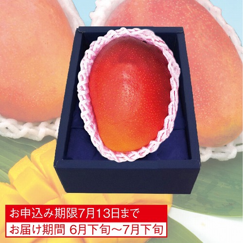 国産マンゴー（大玉）