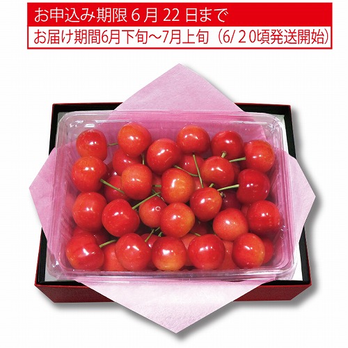 山形県又は秋田県又は北海道産