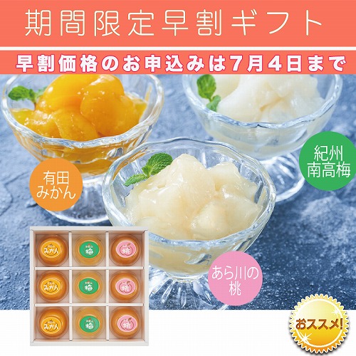 【期間限定・早割】