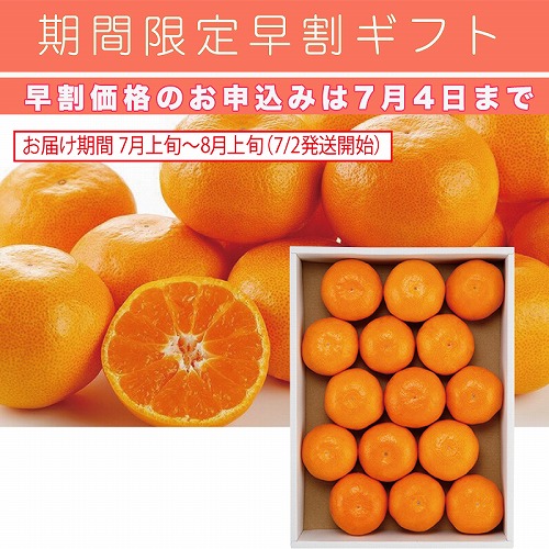 【期間限定・早割】