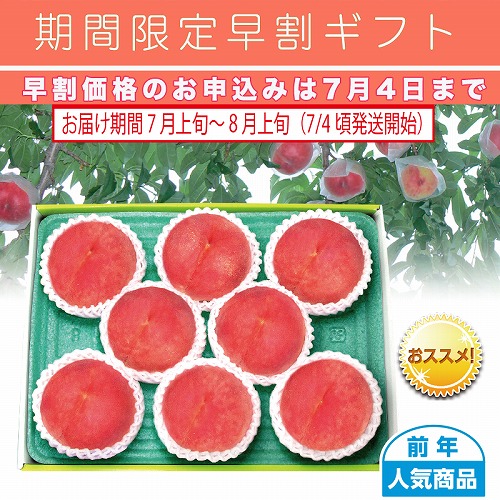 【期間限定・早割】