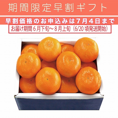 【期間限定・早割】