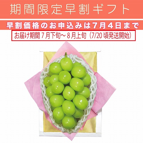 【期間限定・早割】