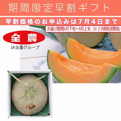 【期間限定・早割】