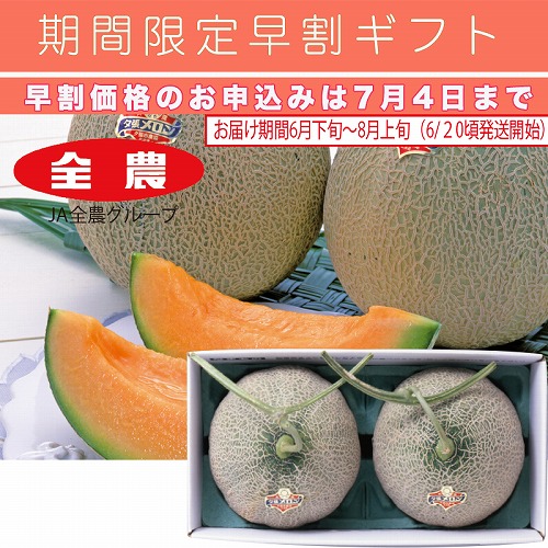 【期間限定・早割】