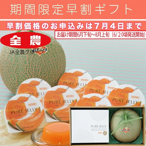 【期間限定・早割】