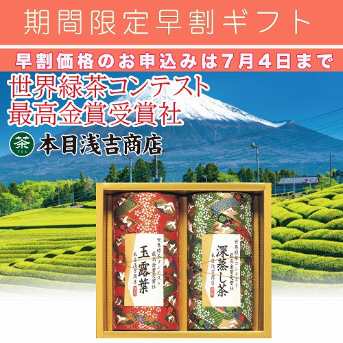 【期間限定・早割】