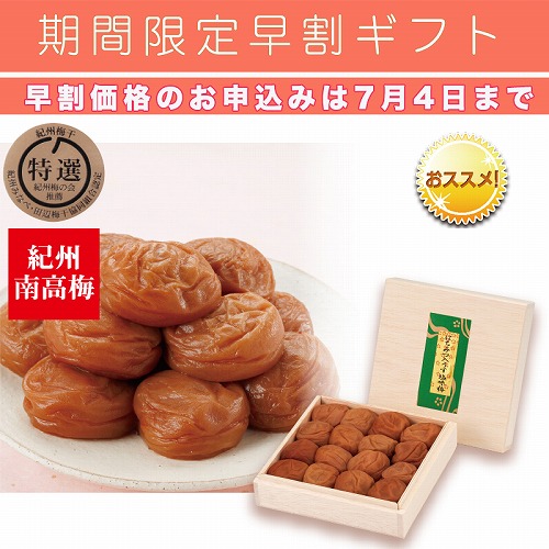 【期間限定・早割】