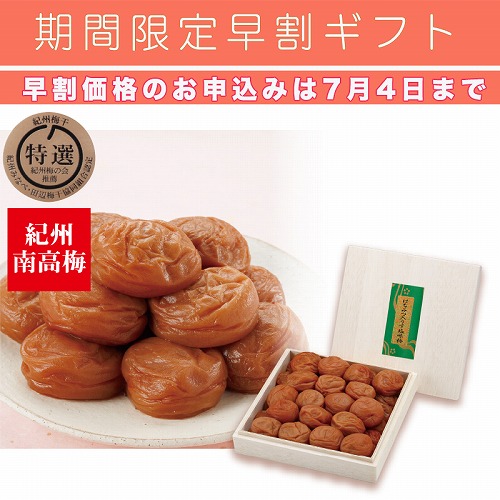 【期間限定・早割】