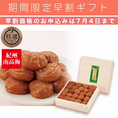 【期間限定・早割】