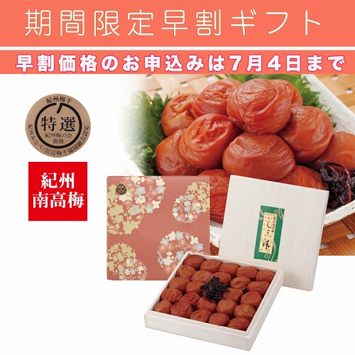 【期間限定・早割】