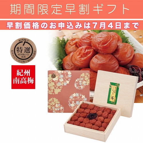 【期間限定・早割】