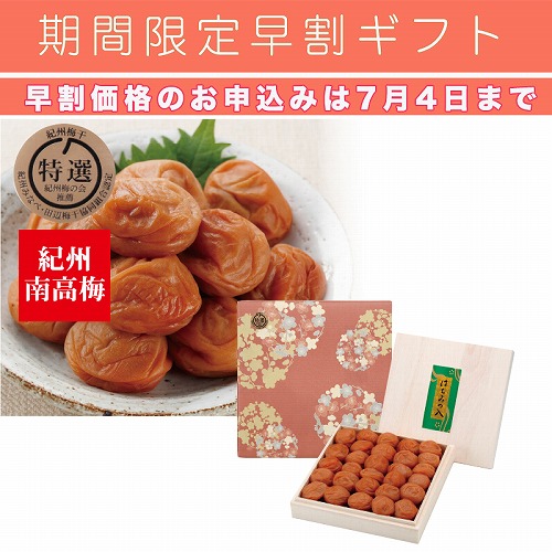 【期間限定・早割】