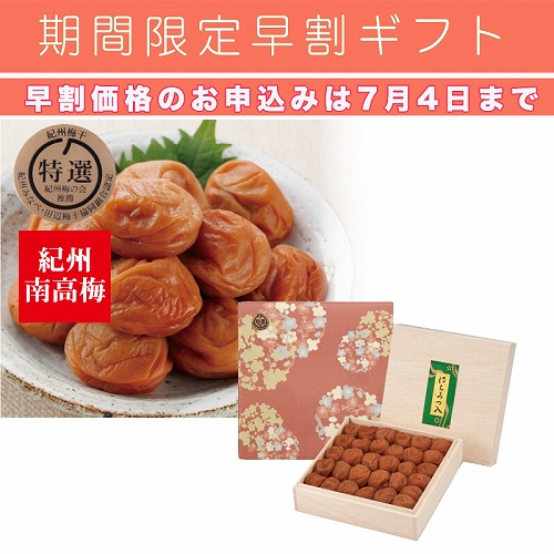 【期間限定・早割】