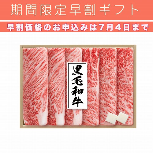 【期間限定・早割】