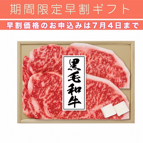 【期間限定・早割】