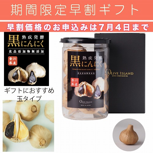 【期間限定・早割】