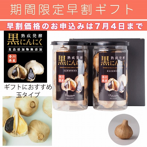 【期間限定・早割】