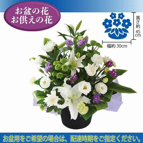 【ご自宅用お買得品】