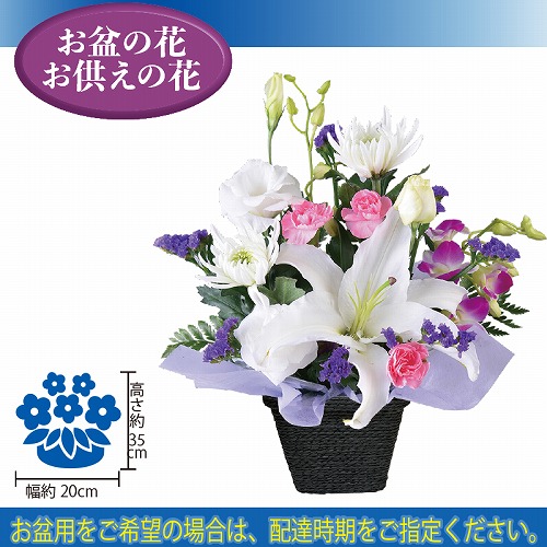 【ご自宅用お買得品】