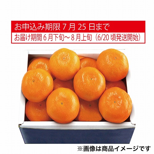 大分県又は佐賀県産