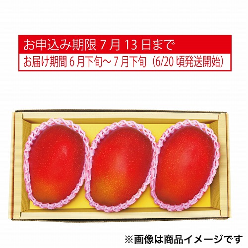 宮崎県又は沖縄県産