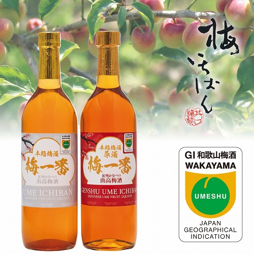 本格梅酒詰合せ