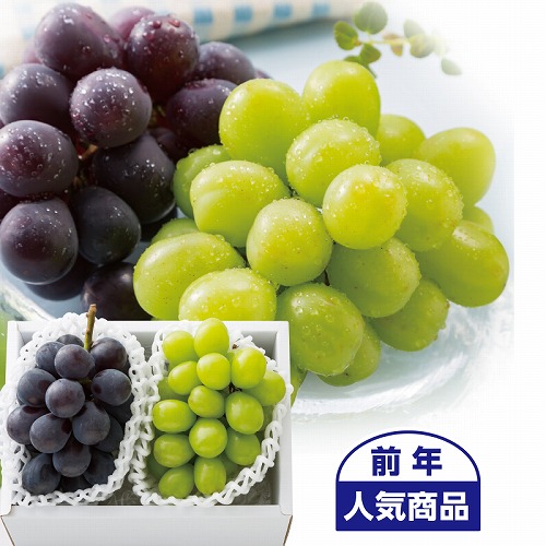 シャインマスカット＆巨峰詰合せ