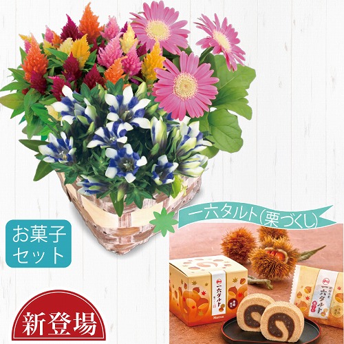 秋の寄せ籠とひときれ一六タルト（栗づくし）