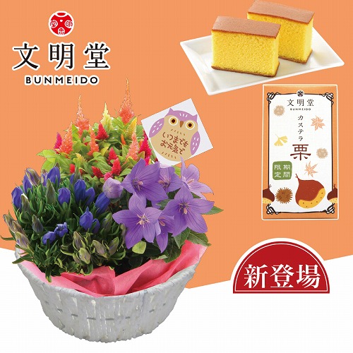 秋の３種花カゴと文明堂栗カステラ