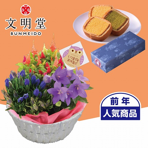 秋の３種花カゴと文明堂カステラ巻