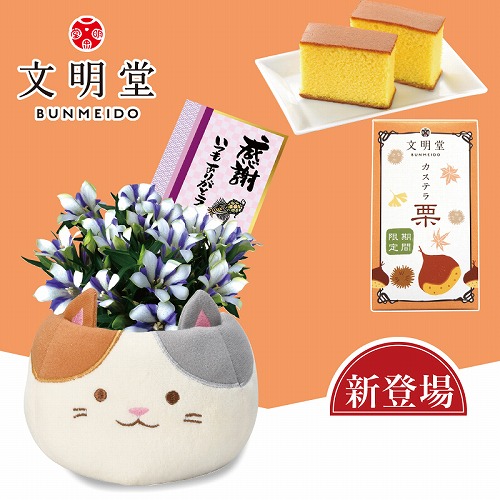 三毛猫リンドウ（白寿）と文明堂栗カステラ