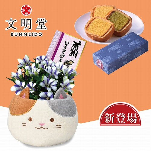 三毛猫リンドウ（白寿）と文明堂カステラ巻