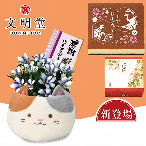 三毛猫リンドウ（白寿）と文明堂敬老の日カステラ