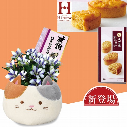 三毛猫リンドウ（白寿）とこがね芋