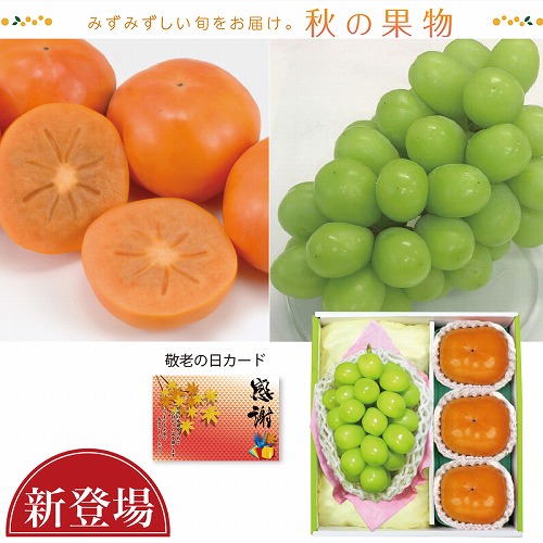 シャインマスカット＆種なし柿