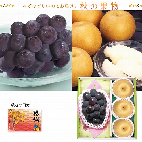 種なし巨峰＆豊水梨