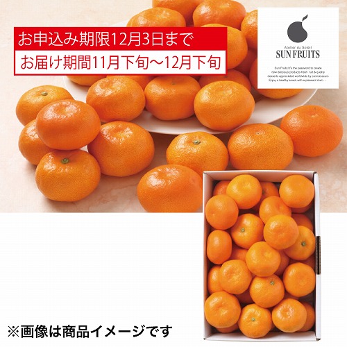 サン・フルーツ