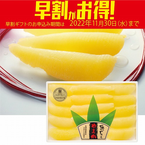 【期間限定・早割】