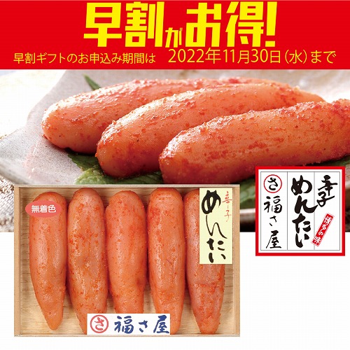 【期間限定・早割】