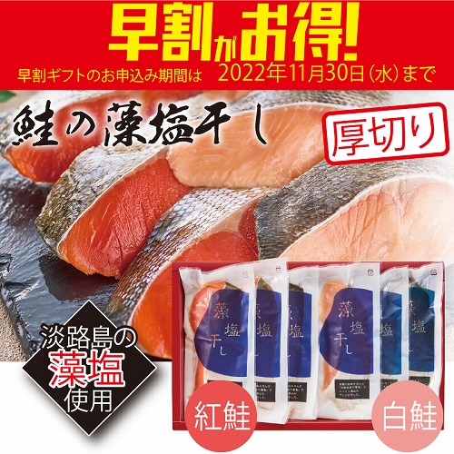 【期間限定・早割】