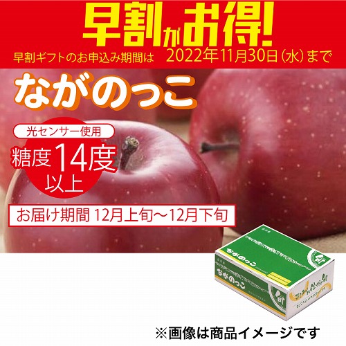 【期間限定・早割】